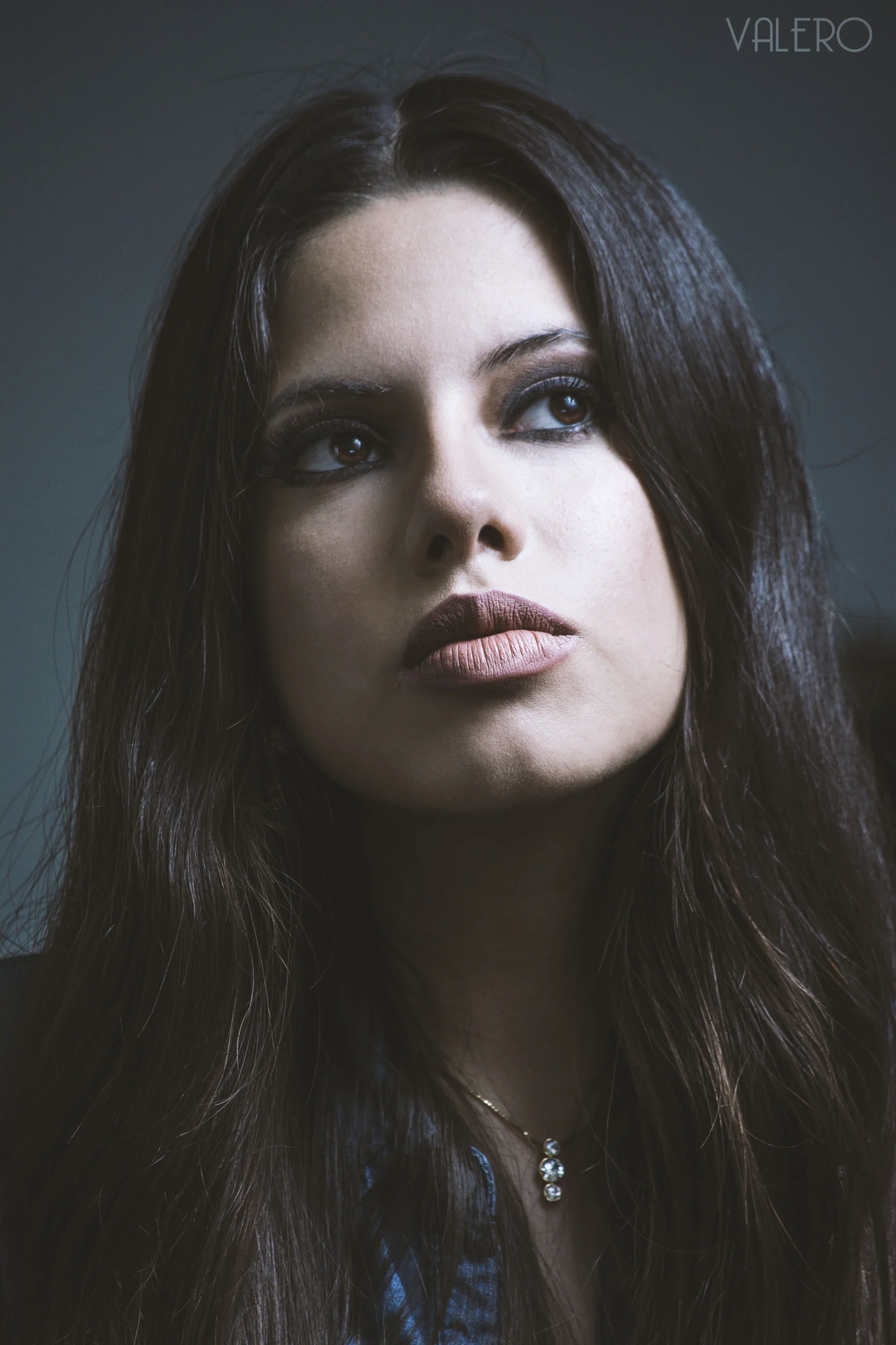 Fotografía de la galería horizontal