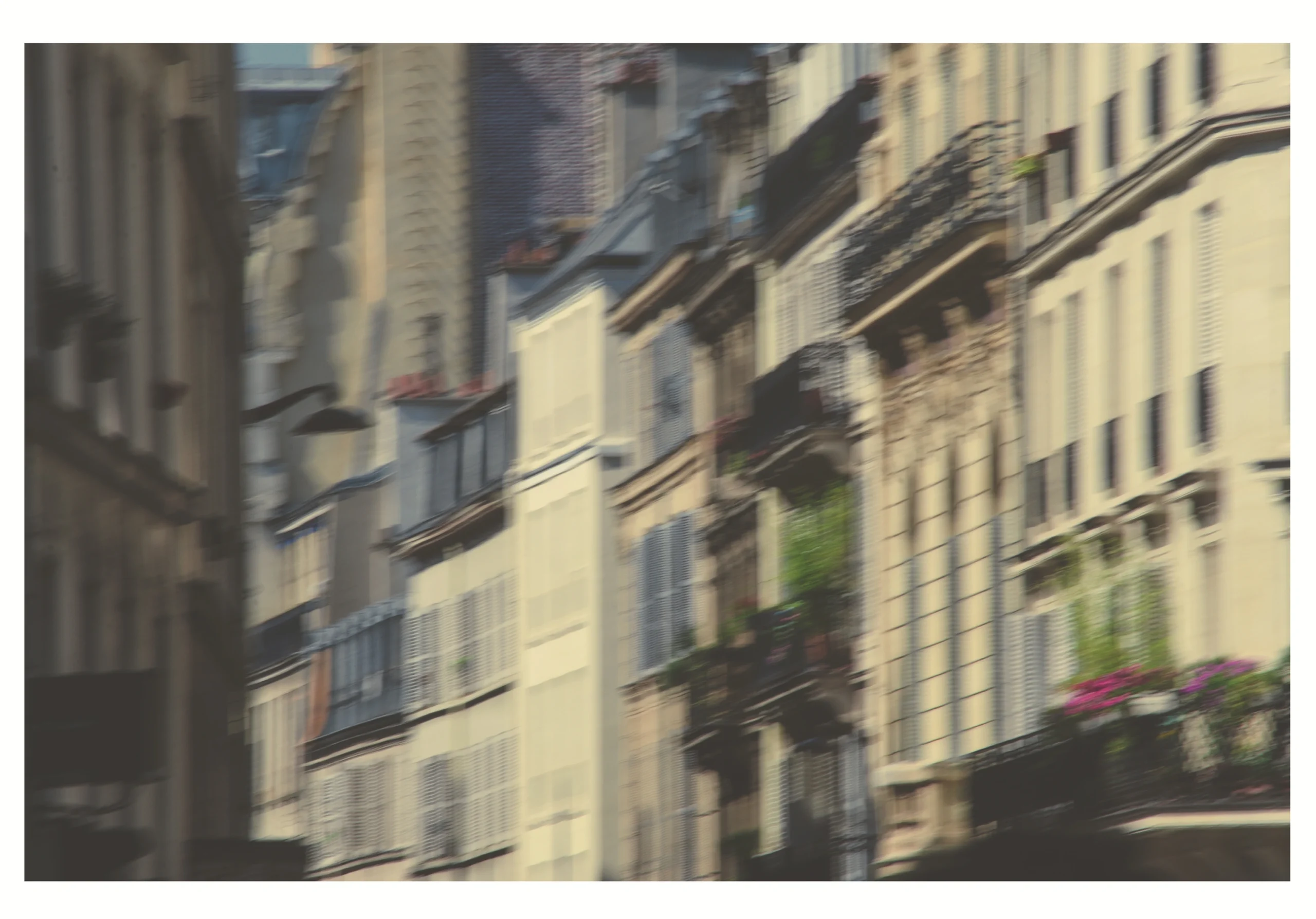 Fotografía de la galería horizontal