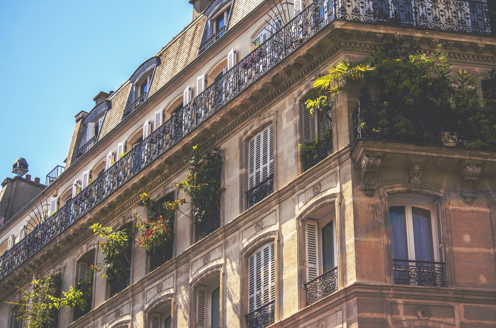 Fotografía de la galería horizontal