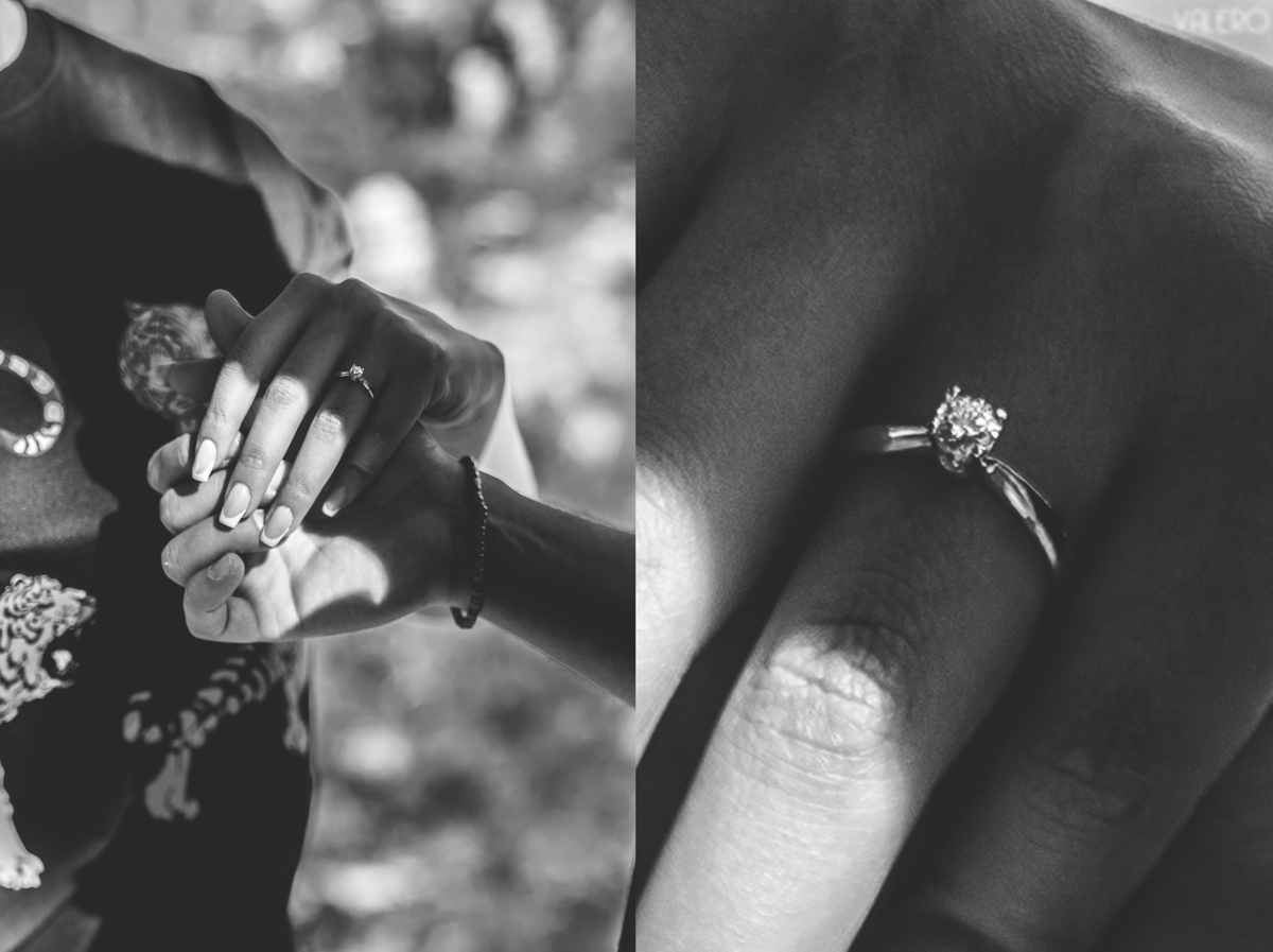 Fotografía de la galería vertical