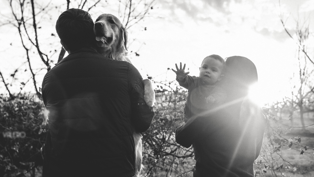 Fotografía de la galería vertical