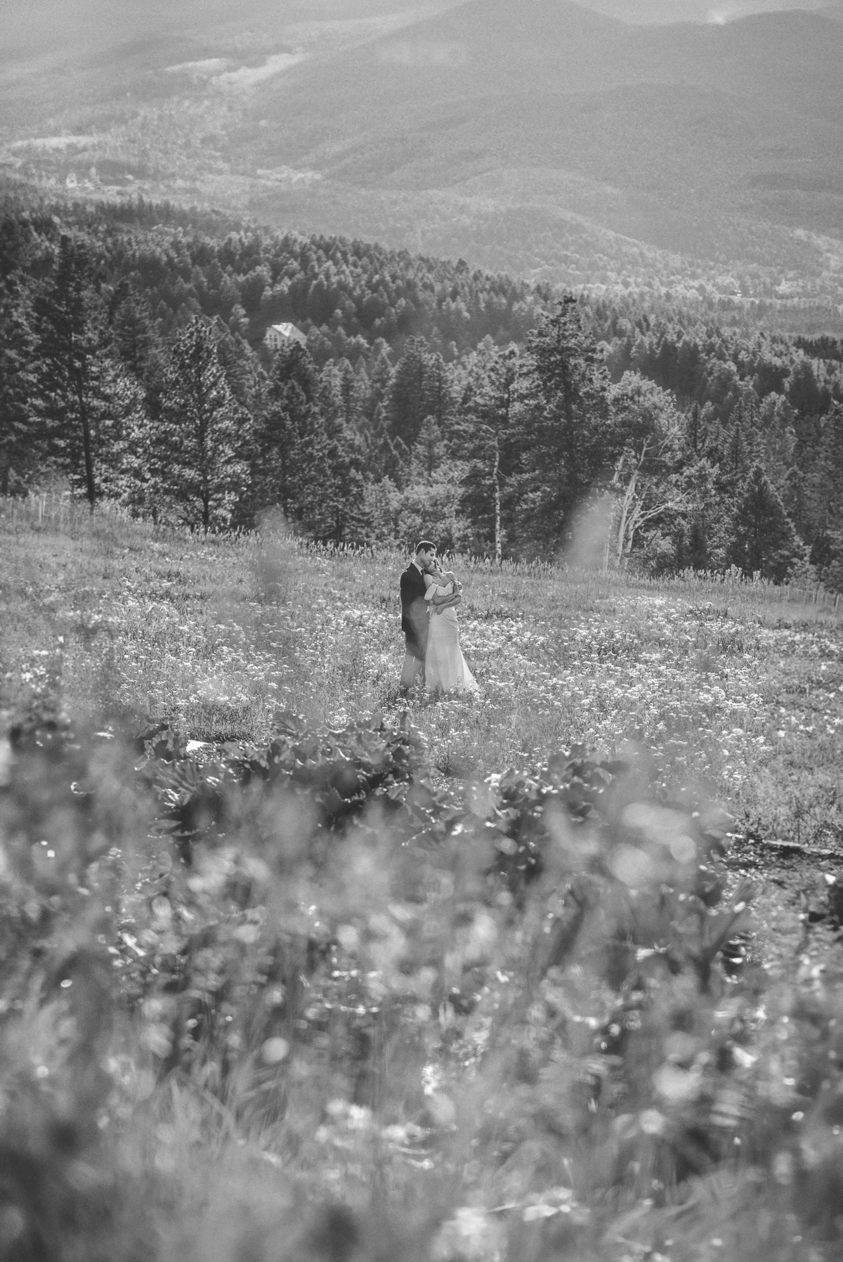 Fotografía de la galería vertical